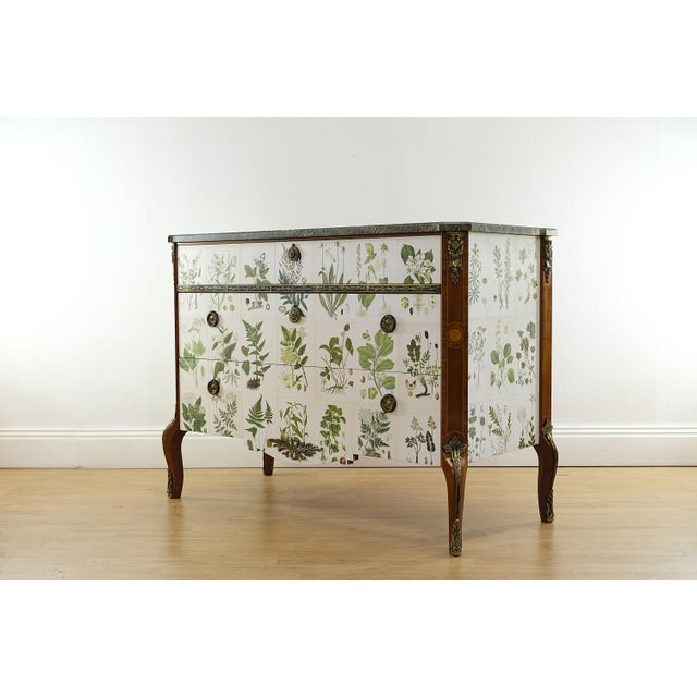 Gustavian Chest with Nordens Flora by C.A.M Lindman, Sweden, 1940s For Sale - Image 4 of 11