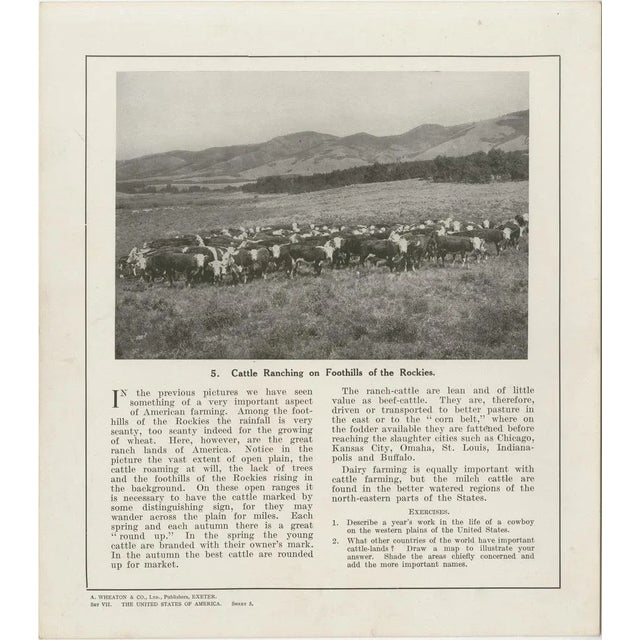 Paper Geographical Pictures of the Usa Set VII by A. Wheaton & Co., 1920s, Set of 13 For Sale - Image 7 of 15