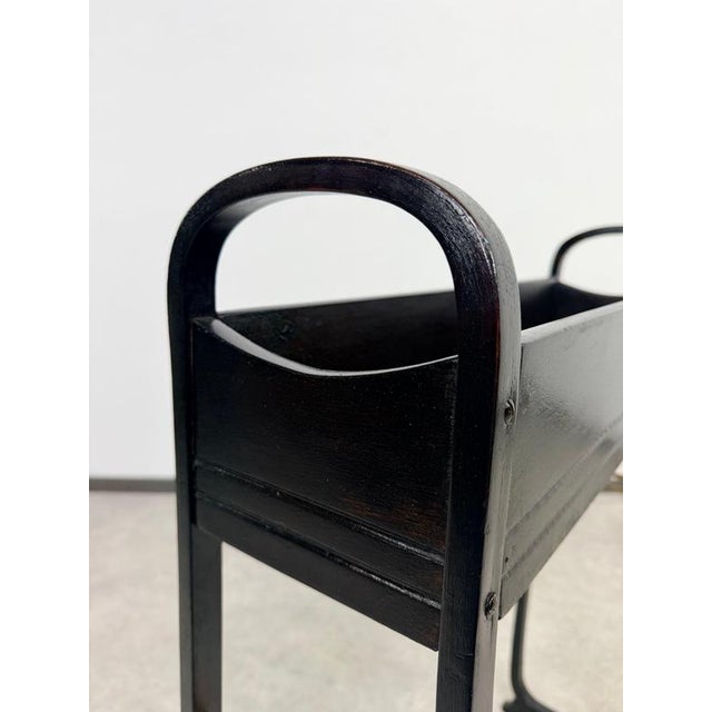 Vienna Secession Bentwood No. 9582 Jardinière by Otto Wagner for Thonet, 1905 For Sale - Image 12 of 14