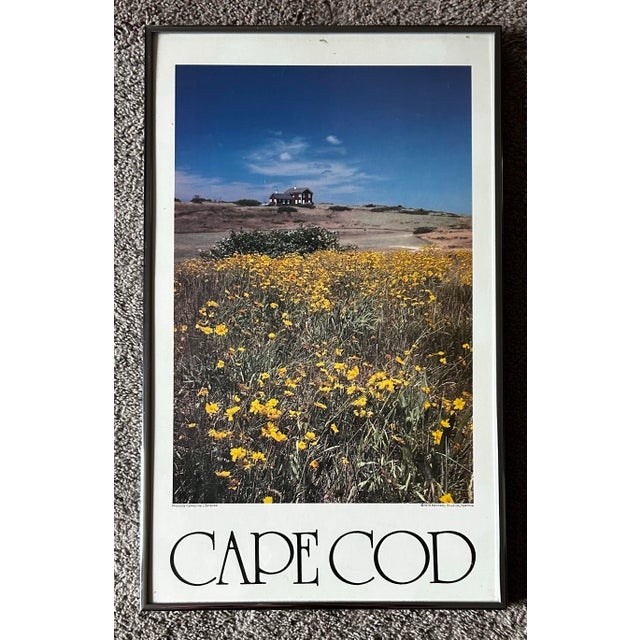 Vintage 1979 poster of Cape Cod by Catherine Strauss for Kennedy Studios, Hyannis Mass. Behing glass and in original...