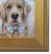 Golden Retriever Dog puppy portrait study, acrylic painting on artist panel. Included are the antiqued gold wood frame and...