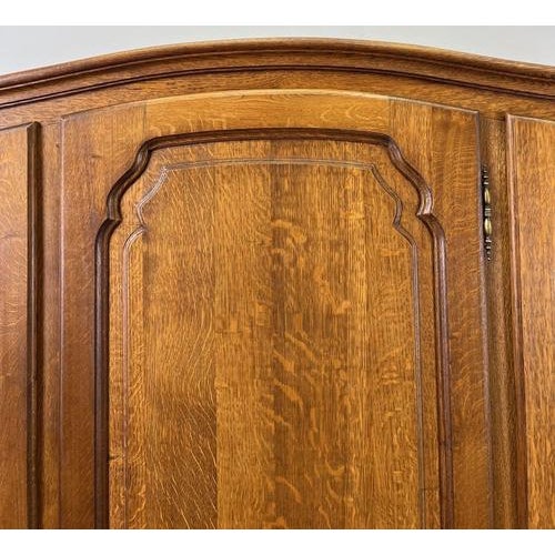 Vintage French Louis XVI Style Wardrobe in Oak For Sale - Image 4 of 8