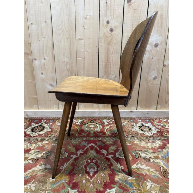 Vintage Baumann Eye Model Chairs in Wood, 1950s, Set of 4 For Sale - Image 10 of 13