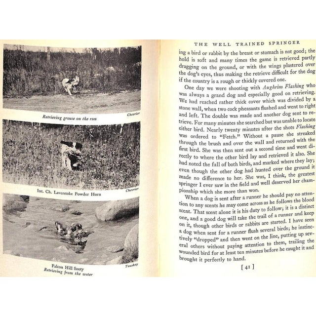 1930s "The English Springer Spaniel in America" 1932 Ferguson, Henry Lee For Sale - Image 5 of 12