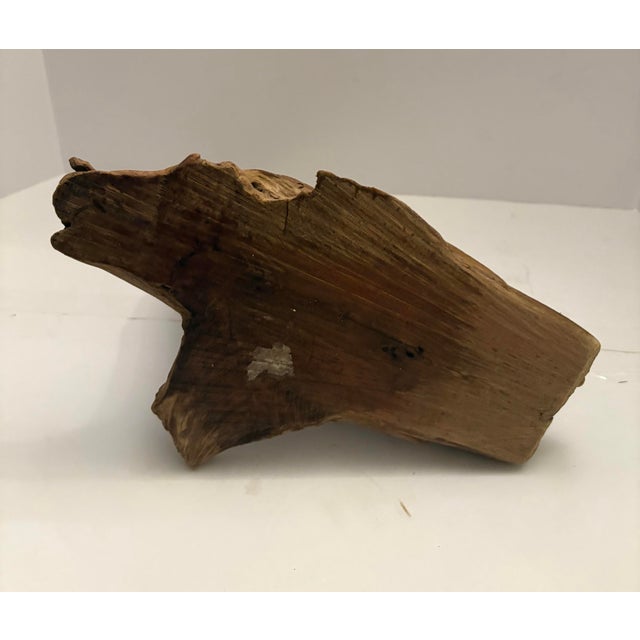 Contemporary Organic Root Wood Sculpture – Natural Driftwood Object – Organic Modern Decor For Sale - Image 3 of 10