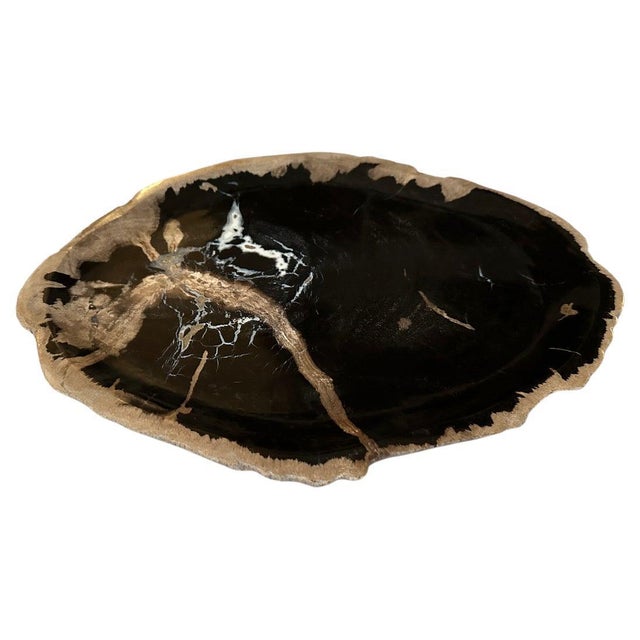 Beautiful contrasting tones and markings on this petrified wood shallow dish. Polished on both sides with a live edge and...