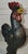 Early Hubley Rooster Door Stop. great for with a wonderful unmatched patina. This cast iron rooster is in amazing...