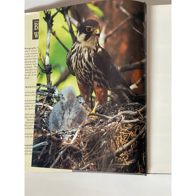 Coffee Book the Photographic Guide Birds of the World For Sale - Image 9 of 10