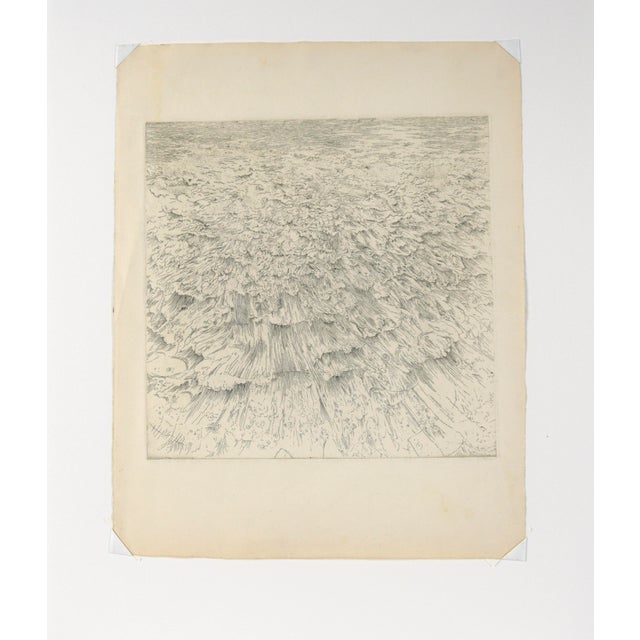 Headland IV by Gordon Cook (American, 1927-1985). 1963. Signed on verso "gordon cook/ Headland IV 1963." Detailed etching...