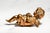 Heavy Classical Figurine Vintage Solid Metal Cherub Putti With Bird Sculpture Paperweight Home Decor Art For Sale - Image 10 of 13