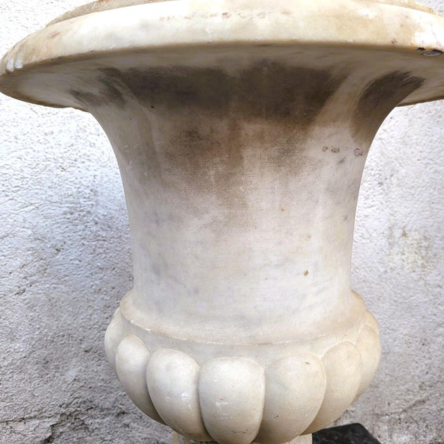 White Late 18th Century Medici Vase in White Marble For Sale - Image 8 of 17
