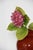 Corniola Vase in Murano Glass by Ercole Barovier for Barovier and Toso, 1960s For Sale - Image 4 of 10