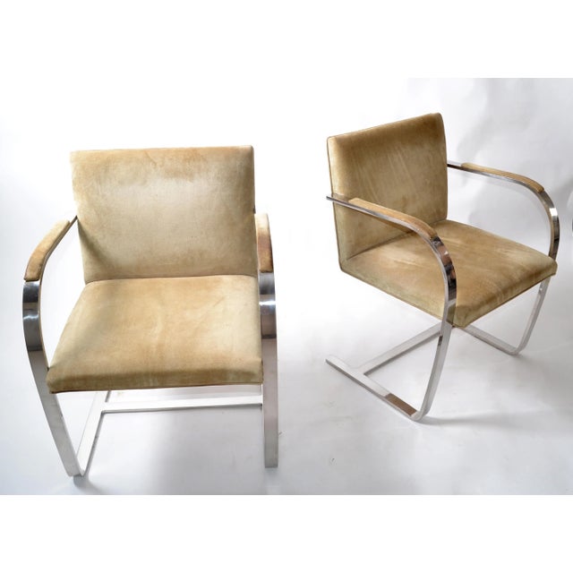 Mies Van Der Rohe for Knoll Beige Ultrasuede Stainless Steel Brno Chairs - Pair For Sale - Image 12 of 13
