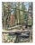 Green Growth by Ivy Hickam | Monotype Depiction of trees and fallen logs in a forest setting For Sale