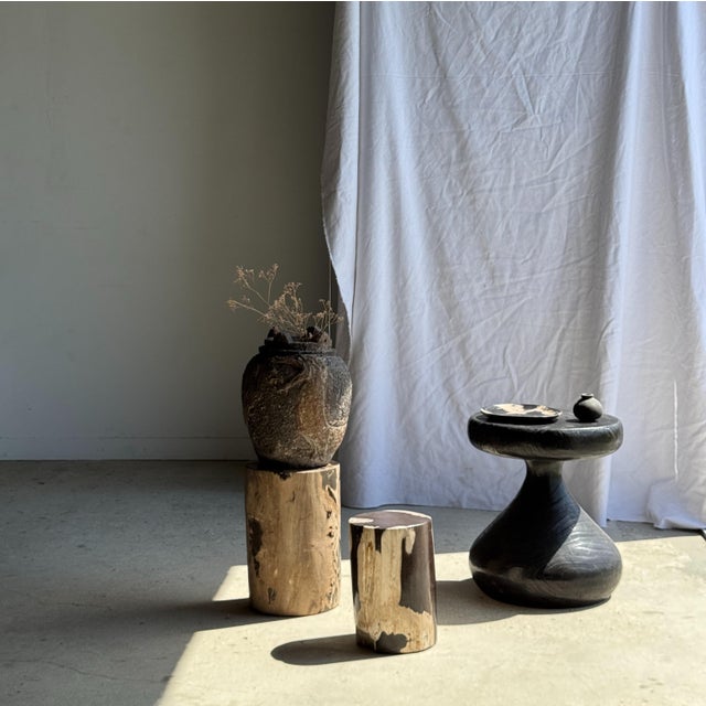 Side Table in Brown and Black Petrified Wood, 1980s For Sale - Image 11 of 18