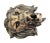 Antique Brass Finish Metal Lion Head Wall Sculptures For Sale - Image 9 of 9