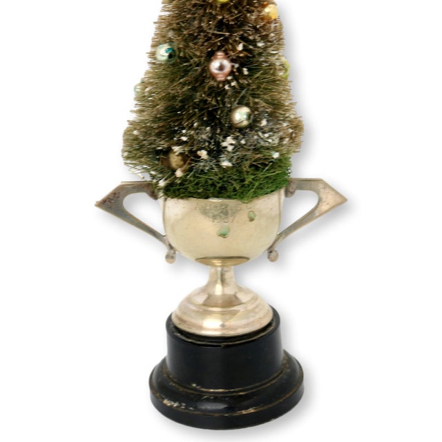 Traditional Bottlebrush Tree in 1957 Trophy For Sale - Image 3 of 5