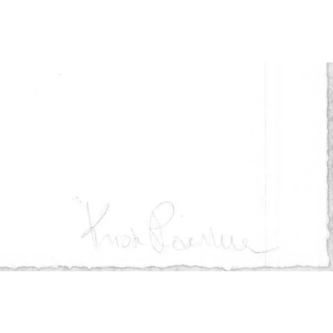 Artist: Krista Rosenkilde Title: Shock Blue Black Hole Year: 2016 Signed: Yes Medium: Lithograph Paper Size: 26.75 x 19.75...