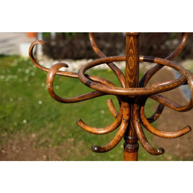 Brown Czechoslovakian Coat Hanger by Michael Thonet, 1900s For Sale - Image 8 of 9