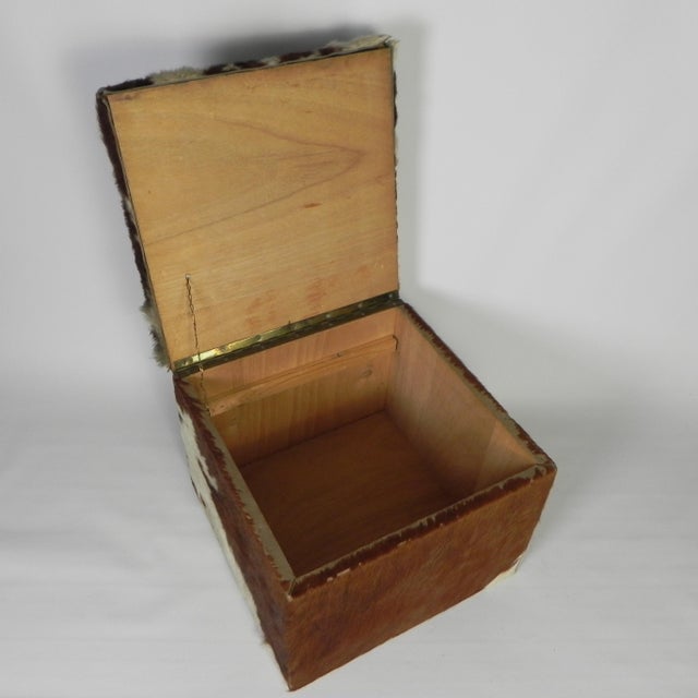 Vintage Cowhide Ottoman with Storage, Netherlands, 1950s For Sale - Image 4 of 11