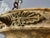2000 - 2009 Representative Bronze Chandelier with Alabaster Bowl and Flamed Shades For Sale - Image 5 of 11