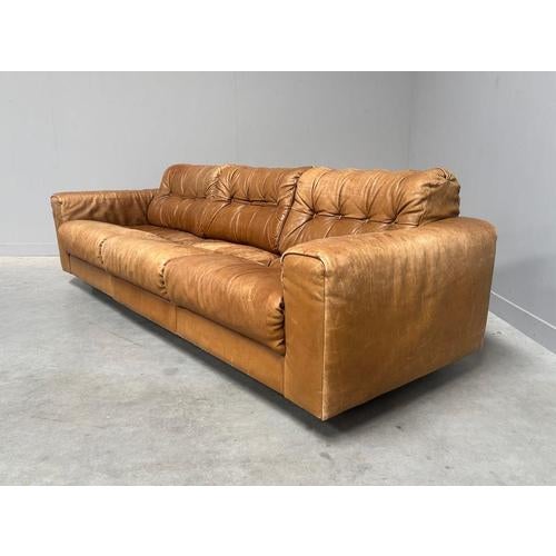 Tan DS40 Sofa by Robert Haussmann for de Sede, 1970s For Sale - Image 8 of 16