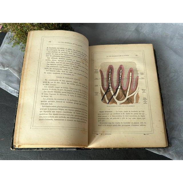 Paper Antique Illustrated French Medical Book For Sale - Image 7 of 10