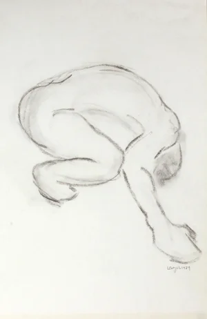 L. Lengyel Curved Nude Drawing, 1979