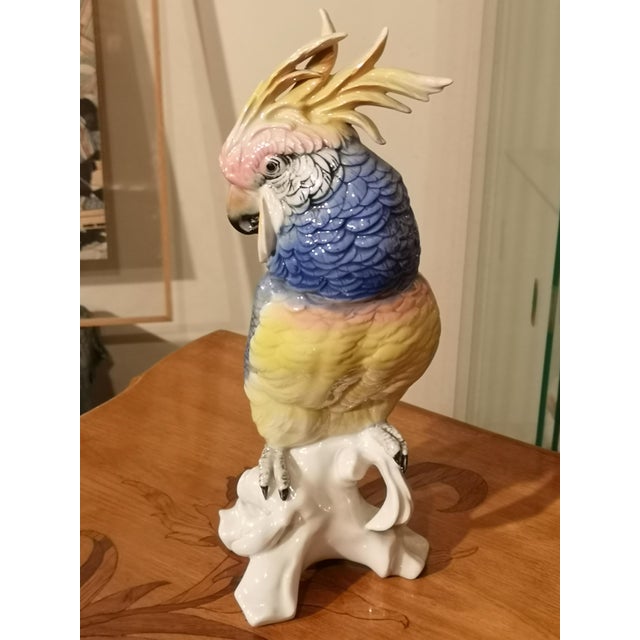 Blue Porcelain Parrot Figurine by Karl Ens, Saxe, 19th Century For Sale - Image 9 of 12