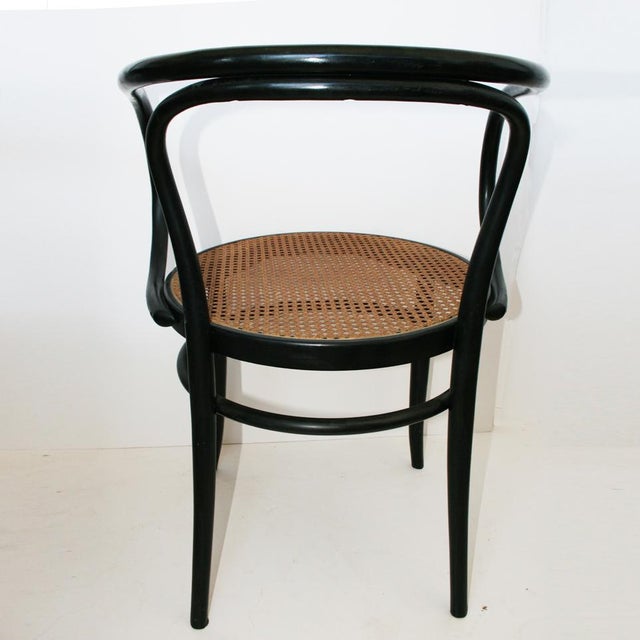 Set of Vintage Straw Beech Chairs by Michael Thonet, 1950 For Sale - Image 11 of 18