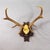 Black Forest 8 Pointer Red Deer Trophy on Carved Plaque Germany 1930s Item e8184 A large 8 pointer red deer (Cervus...
