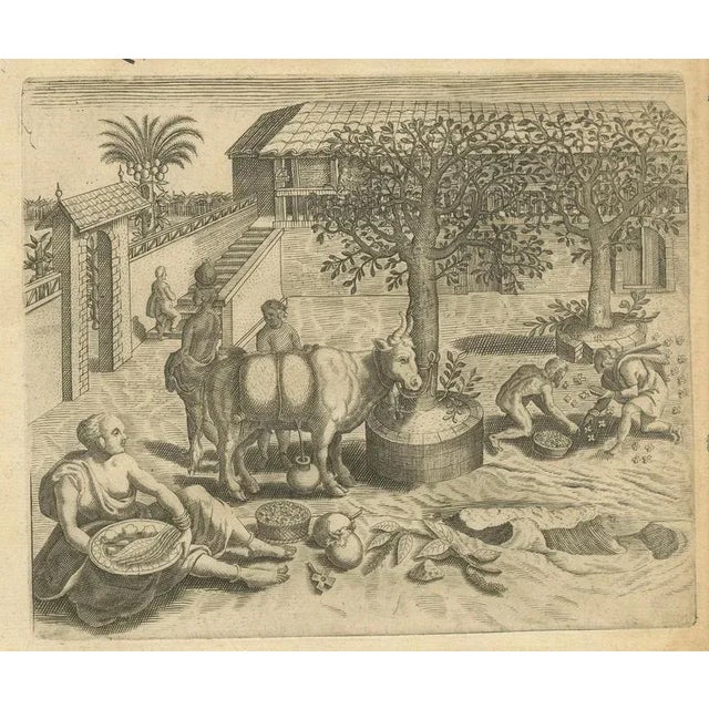 Paper Sacred Trees and Exotic Animals, 1598, Paper, Set of 4 For Sale - Image 7 of 10