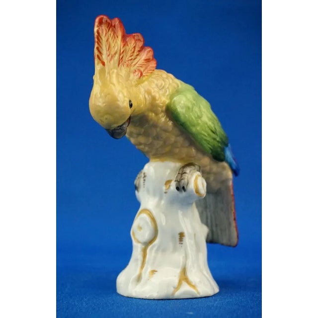 20th Century Porcelain Cockatoo Parrot Sculpture from Rudolstadt Volkstedt Manufacture, Germany For Sale - Image 9 of 18