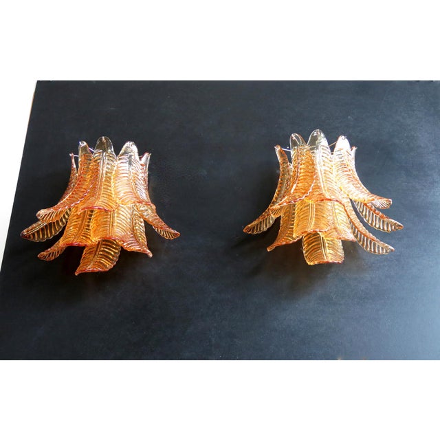 Pair of Murano Amber Felci Glass Wall Sconces- 10 Glass For Sale In Los Angeles - Image 6 of 7