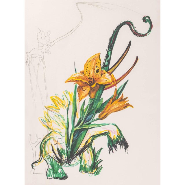 Salvador Dali (Spanish, 1904-1989), "Hemerocallis Thumbergii Elephanter Furiosa" [Furious Daylily Elephant], Etching and...