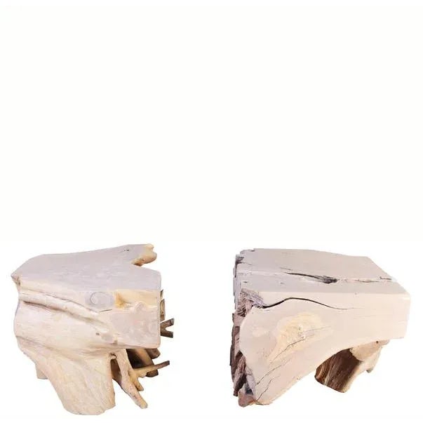 Wood Organic Modern Sculptured Teak Root Coffee Table Base - 2 Pieces For Sale - Image 7 of 7