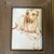 Contemporary original yellow lab watercolor painting. Measures 5.5x7.5 / 9x11 framed. Check out my shop Robins Egg Gallery...