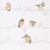 Harlequin Perisco Wallpaper in Neutral/Chalk For Sale