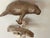 1960s 1960s Florida Coastal Sea Shells Manatee Mobile Sculpture For Sale - Image 5 of 7