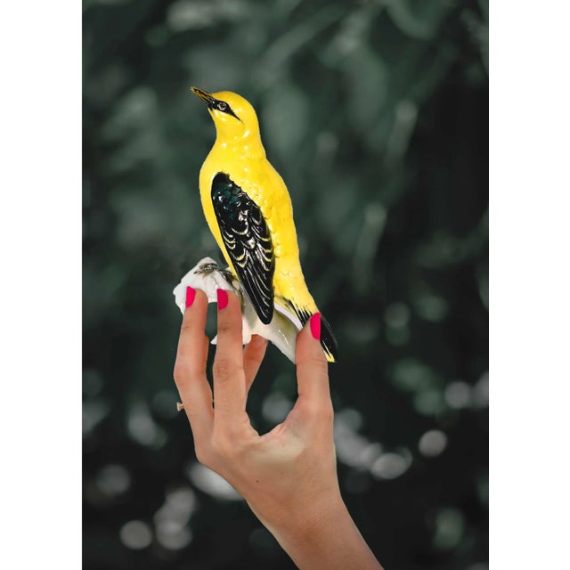 Exquisite indian Golden Oriole Bird (Oriolus kundoo) created by Karl Ens. The life-sized porcelain bird stands upon an...