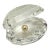 Swarovski Crystal Oyster Shell With Pearl Figurine (#014389 Original Box, Certificate of Authenticity) For Sale