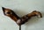 French Vintage French Grapevine Corkscrew For Sale - Image 3 of 6
