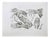 Paolo Mascagni, Anatomy of the Hand, 1810, Etching For Sale