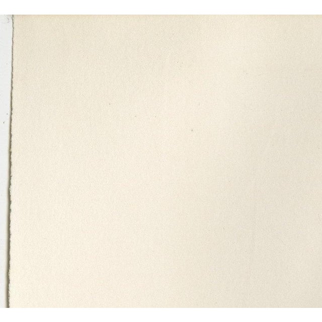 Paper After Lilian Medland, Gannet, 1909, Print For Sale - Image 7 of 12