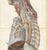 Hirschfeld and Leveille, Vagus and Sympathetic Nerves of the Trunk, 1866, Paper For Sale - Image 4 of 12