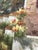 Monumental Tuscan Village Landscape Oil Painting in Carved Gilt Frame 70” X 60” For Sale - Image 4 of 10