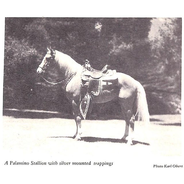 Traditional "Dude Ranches and Ponies" 1936 Smith, Lawrence B. For Sale - Image 3 of 12