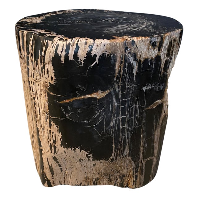 Andrianna Shamaris Ancient Sculptural Petrified Wood Side Table For Sale