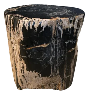 Andrianna Shamaris Ancient Sculptural Petrified Wood Side Table