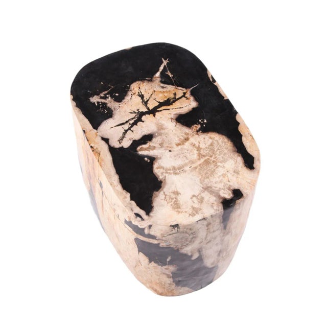 Large Oval Petrified Wood Accent Table or Side Table 2 For Sale In Greensboro - Image 6 of 10